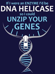 if-i-were-an-enzyme-id-be-dna-helicase-so-i-could-unzip-your-genes-t-shirt.jpg