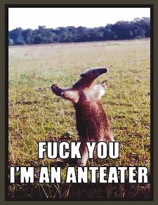 fuck-you-im-an-anteater-t-shirt.jpg